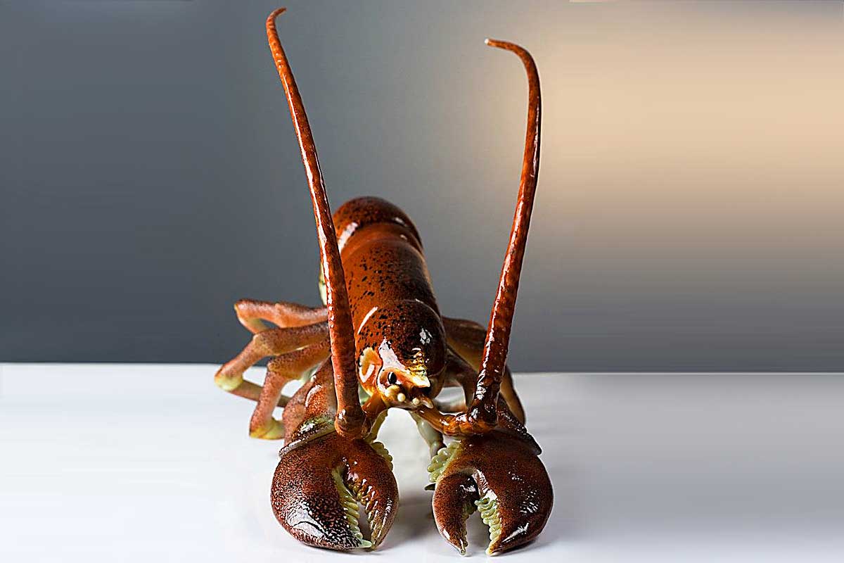 Pino Signoretto - Lobster
